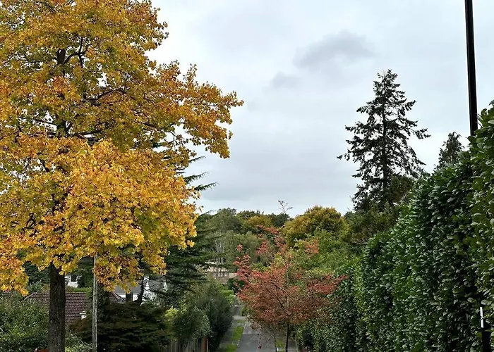 Lovely 2 Bed Room Flat, In A Leafy Area,All New
